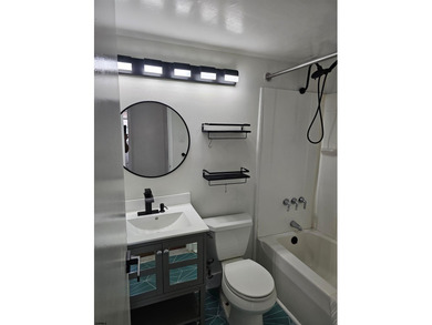 Welcome To Landmark Towers, this Beautifully renovated 1-bedroom