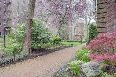 Welcome to this quiet, bright, and oversized one-bedroom