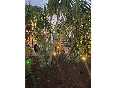 Absolutely stunning home in a prime location-within close