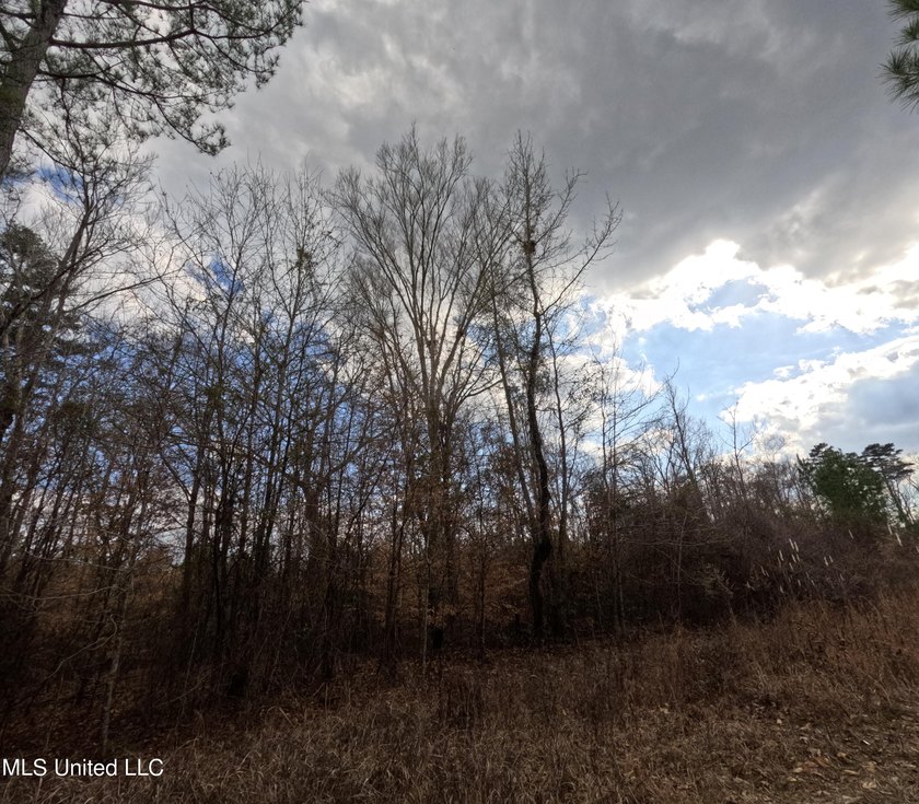 176 Acres near Mendenhall, MS The land is a strong mix for - photo 13