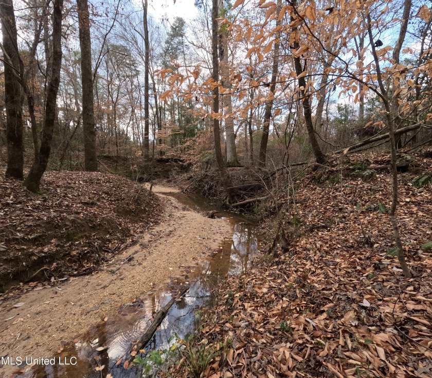 176 Acres near Mendenhall, MS The land is a strong mix for - photo 16