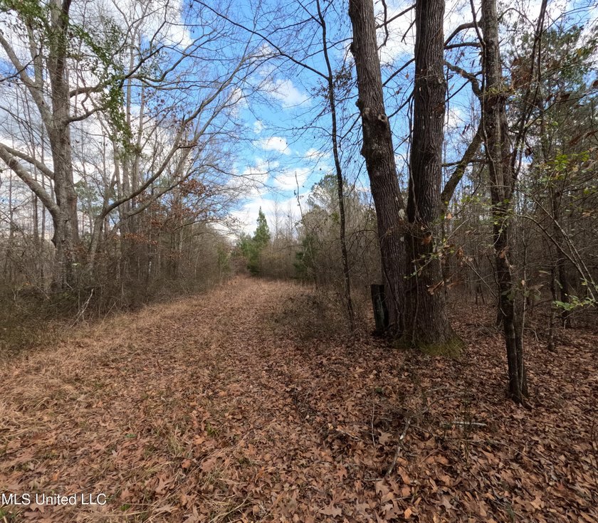 176 Acres near Mendenhall, MS The land is a strong mix for - photo 19