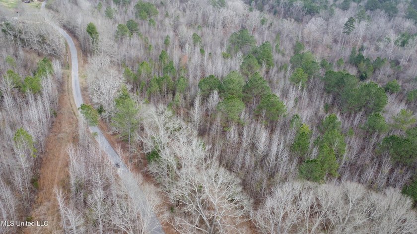 176 Acres near Mendenhall, MS The land is a strong mix for - photo 22