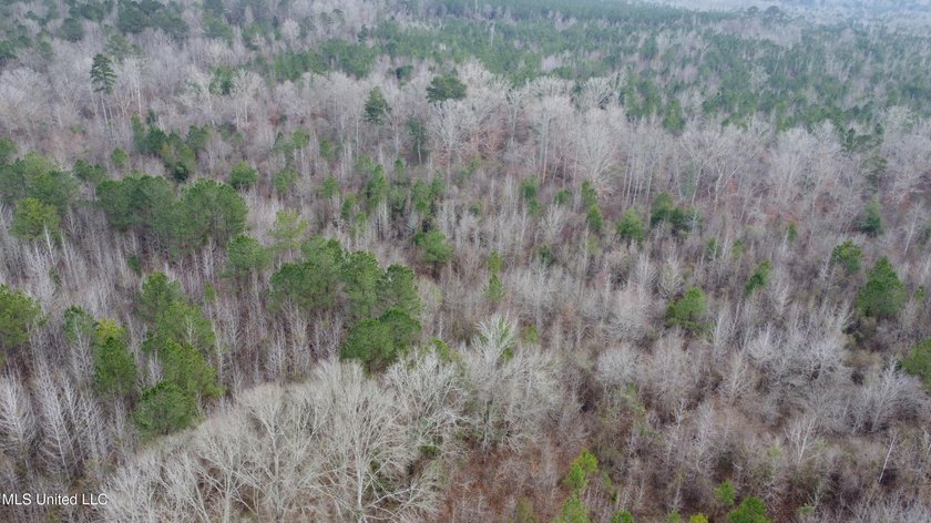 176 Acres near Mendenhall, MS The land is a strong mix for - photo 23