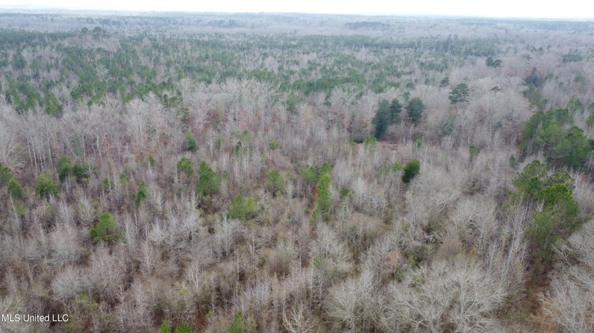 176 Acres near Mendenhall, MS The land is a strong mix for - photo 24