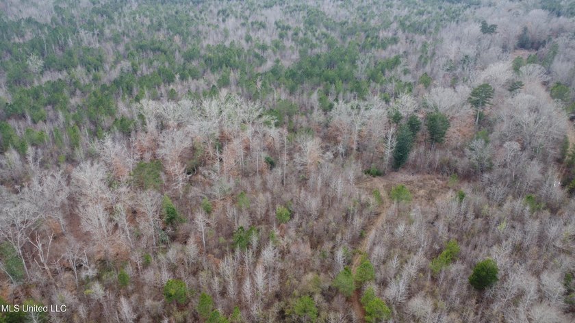 176 Acres near Mendenhall, MS The land is a strong mix for - photo 25