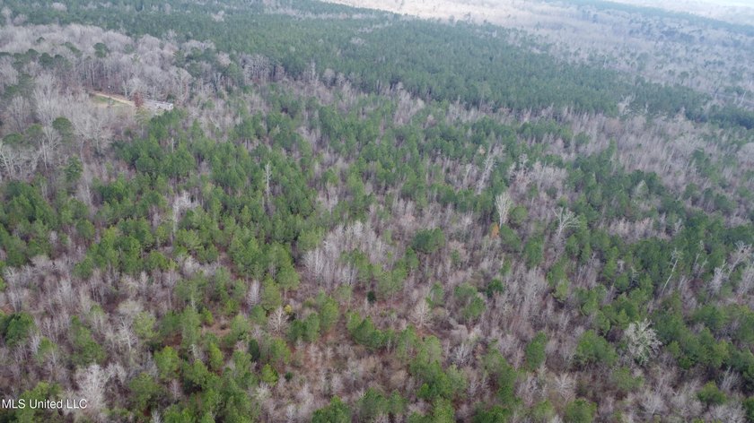 176 Acres near Mendenhall, MS The land is a strong mix for - photo 27