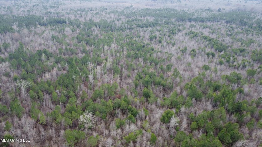 176 Acres near Mendenhall, MS The land is a strong mix for - photo 28