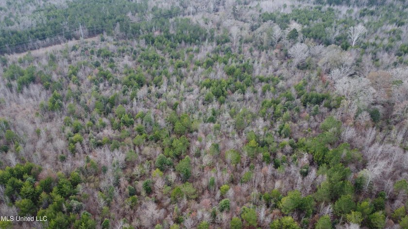 176 Acres near Mendenhall, MS The land is a strong mix for - photo 31