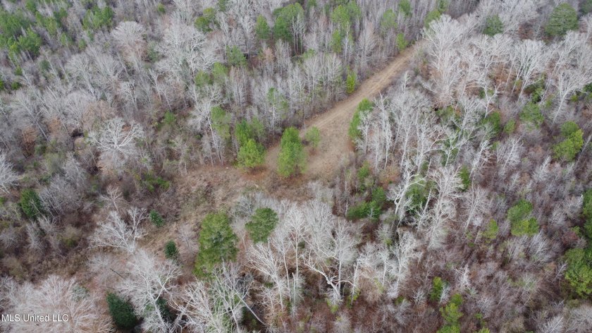 176 Acres near Mendenhall, MS The land is a strong mix for - photo 32