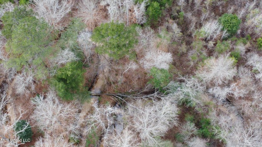 176 Acres near Mendenhall, MS The land is a strong mix for - photo 34