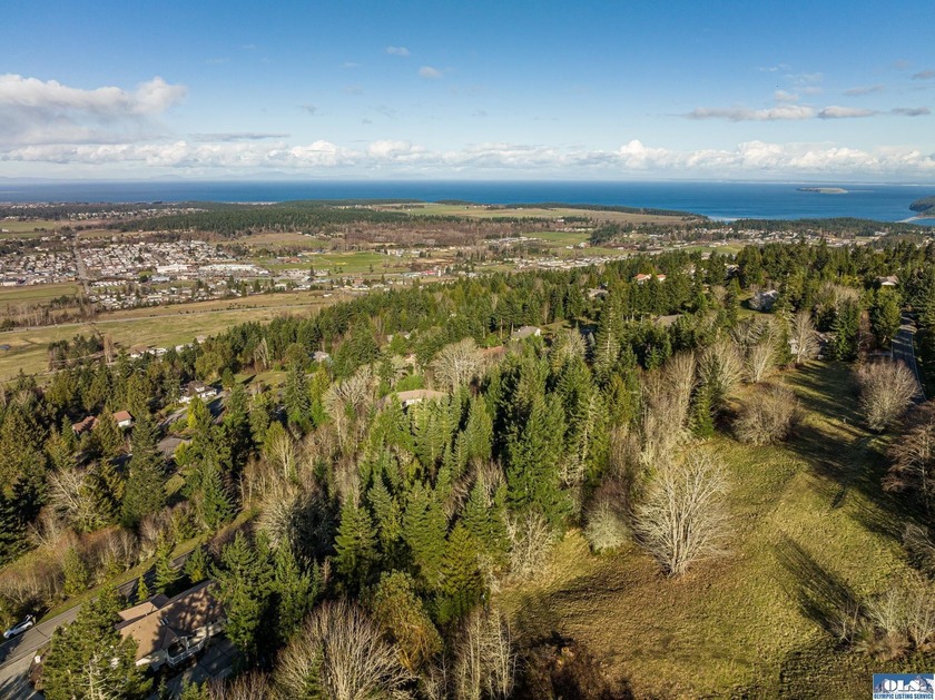 Water view parcel on the uphill side of Owl's Nest Rd. on Bell - photo 5