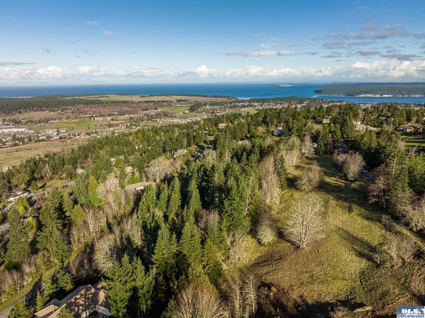Water view parcel on the uphill side of Owl's Nest Rd. on Bell - photo 6