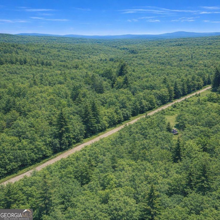 Welcome to 2.04 acres located in Midway, Liberty County! This - photo 4