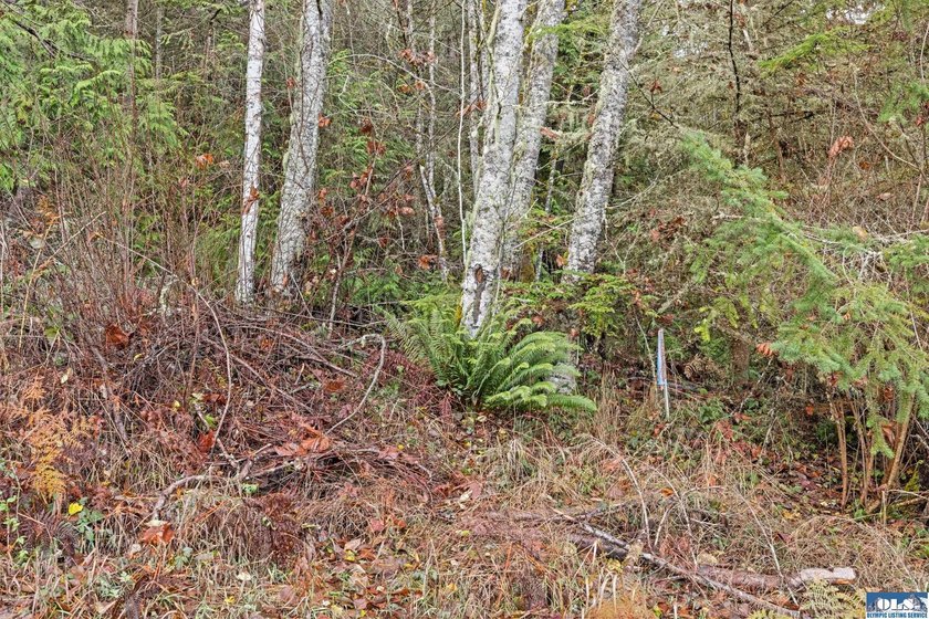A gem in Sequim! There's a reason this parcel feels like a - photo 9