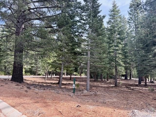 Beautiful level corner lot in the private Foxwood gated - photo 2