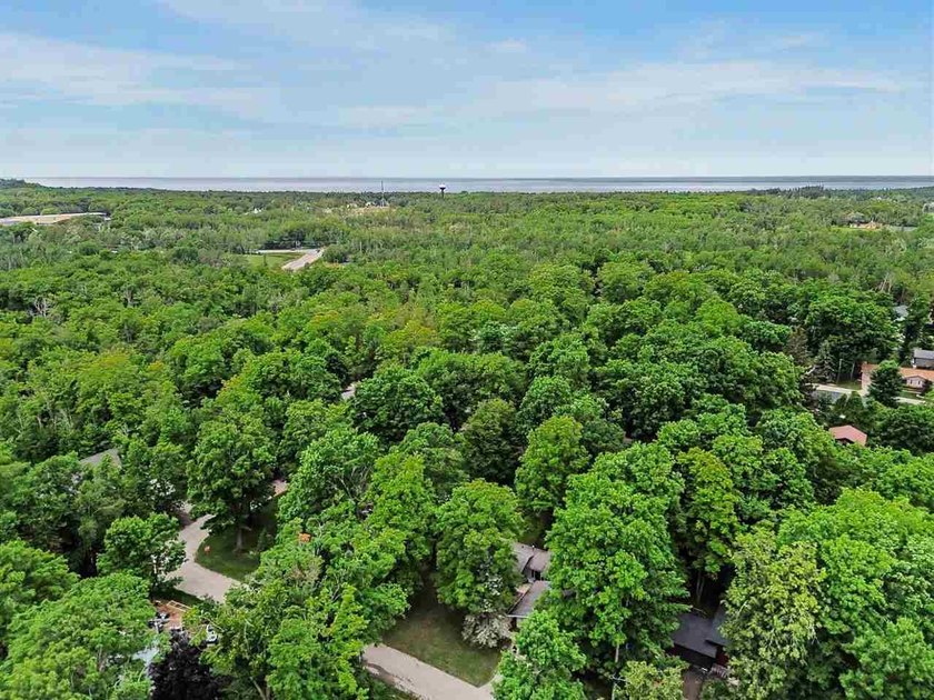 Open House Sunday July 5th from 2pm to 4pm. Welcome to Fern - photo 43
