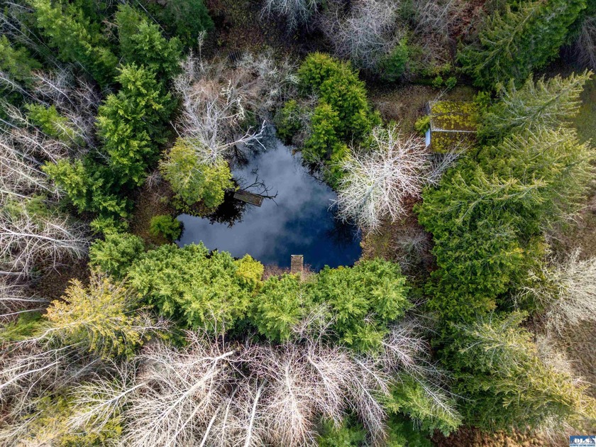 **Easy-access 5-acre property with private well and power - photo 2