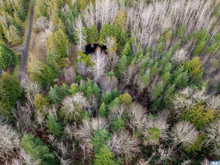 **Easy-access 5-acre property with private well and power - photo 3