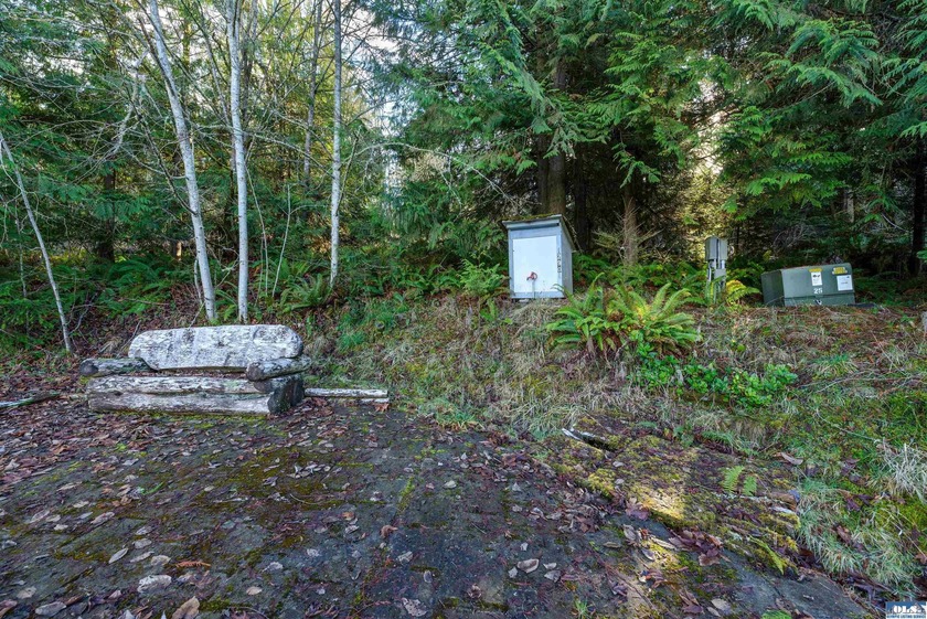 **Easy-access 5-acre property with private well and power - photo 7