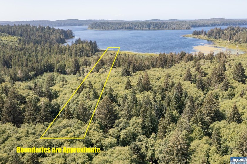 Wake up to mist drifting over Lake Ozette. Eagles overhead - photo 3