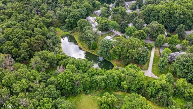 THIS ONE IS A STUNNER! OVER $200,000 in Renovations/Upgrades! - photo 42