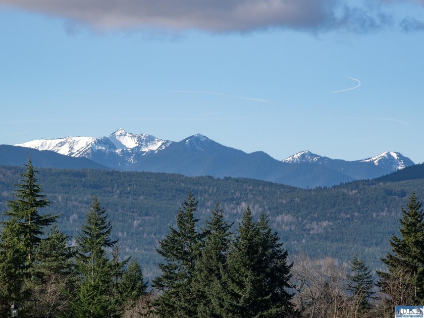 Central Bell Hill View Lot for Sale -Build Your Dream Home in - photo 3