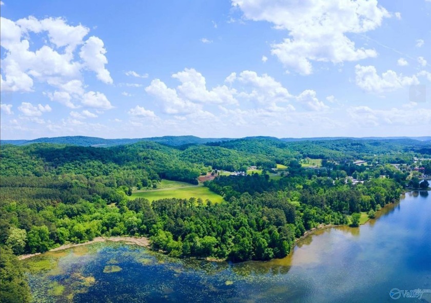 Developer's Dream - 33.10 Unrestricted Acres on Lake - photo 4