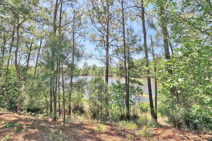TRANSFERABLE GOLF MEMBERSHIP!! The unit is a 3-bedroom, 2 bath - photo 26