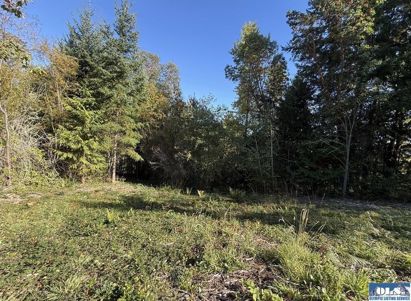 Rare and beautiful peaceful 2.6-acre cleared to build with - photo 2