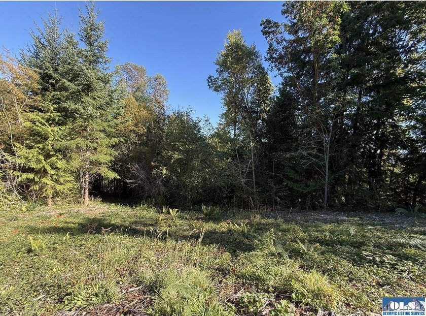 Rare and beautiful peaceful 2.6-acre cleared to build with - photo 3