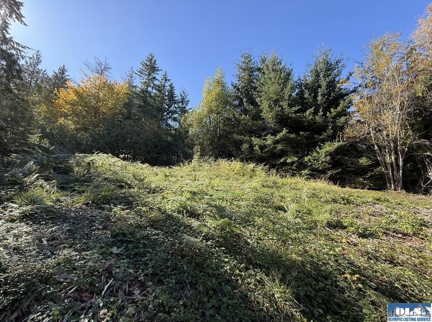 Rare and beautiful peaceful 2.6-acre cleared to build with - photo 5