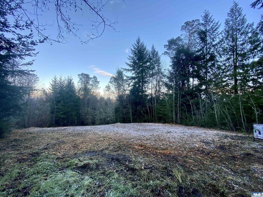 Rare and beautiful peaceful 2.6-acre cleared to build with - photo 6