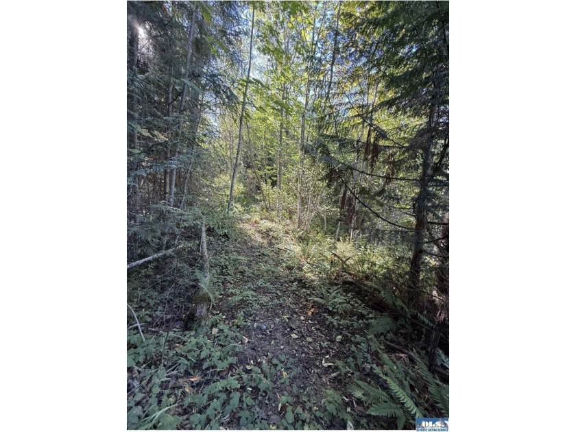 Rare and beautiful peaceful 2.6-acre cleared to build with - photo 7