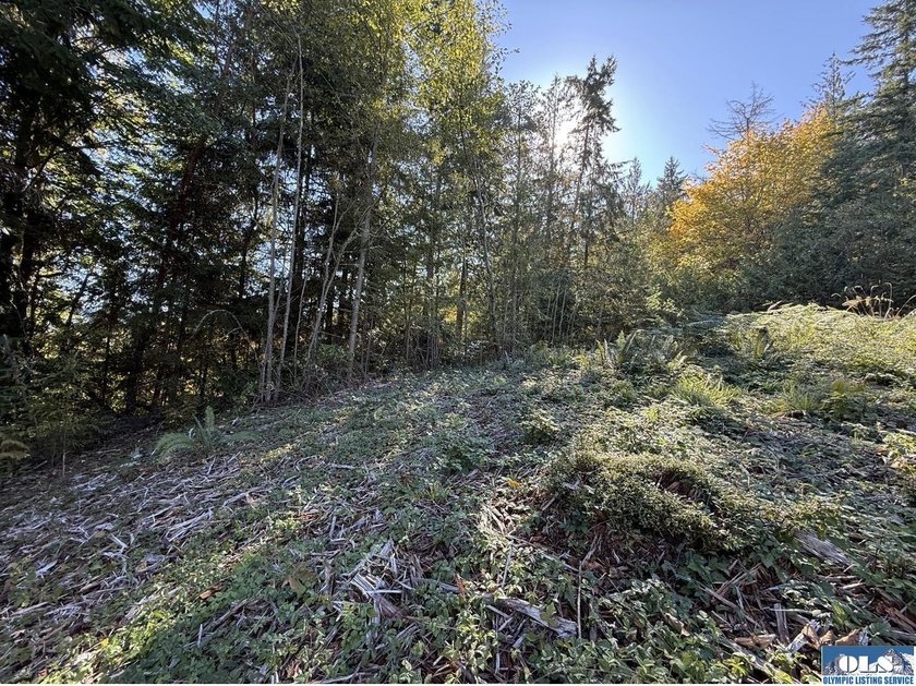 Rare and beautiful peaceful 2.6-acre cleared to build with - photo 8