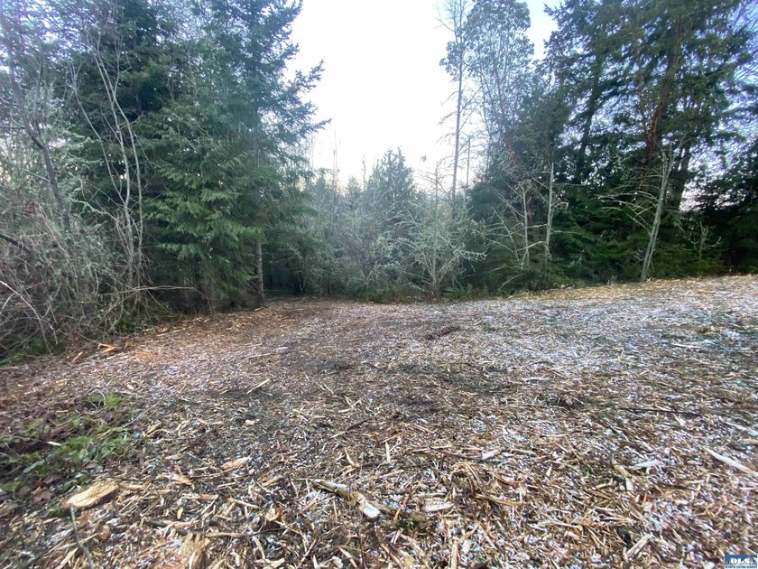 Rare and beautiful peaceful 2.6-acre cleared to build with - photo 10