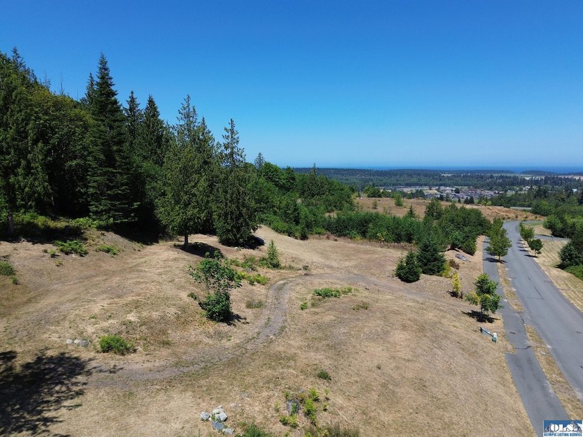 Build your dream home on this spacious 0.8 acre lot in the - photo 2