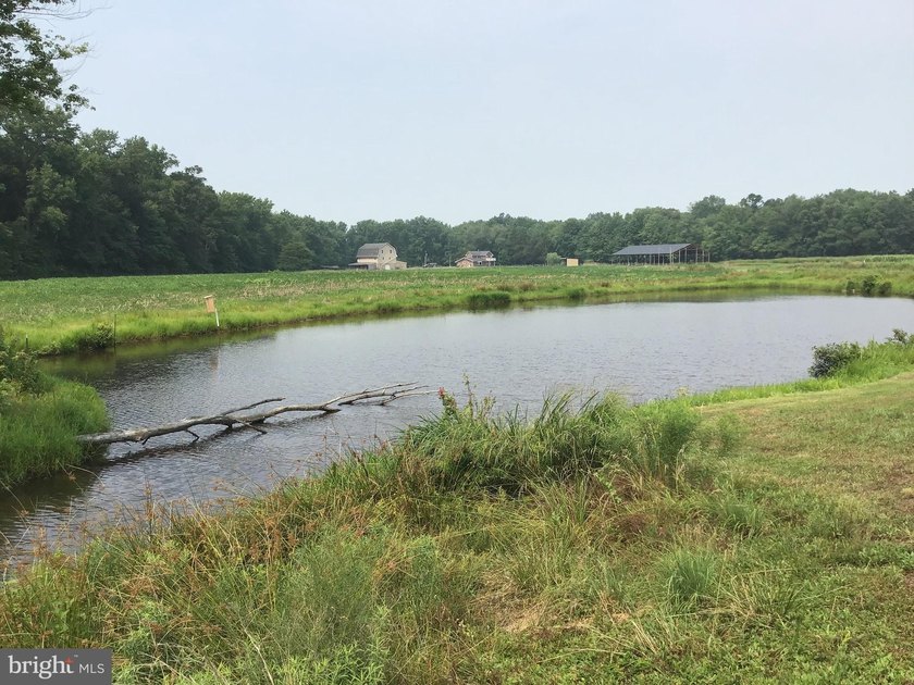 ONCE IN A LIFETIME BIG BUCK FARM PLUS GEESE, WOOD DUCKS AND - photo 9