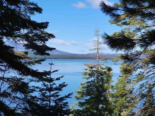 Build your dream home on this exceptional .80-acre lakefront - photo 9
