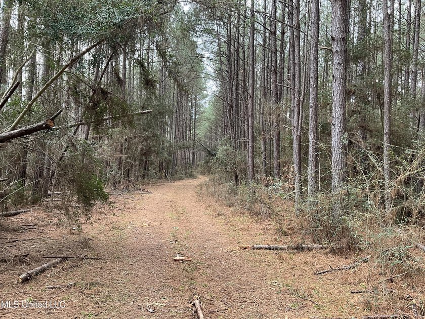 Thank you for viewing this unique 171.71 Acre timber farm in - photo 12