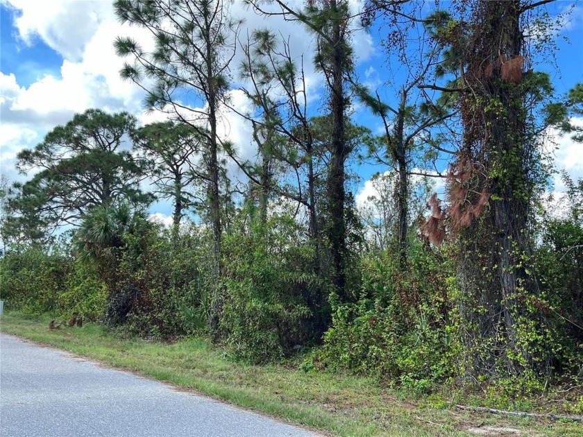 Discover the perfect opportunity to own a buildable lot in the - photo 3