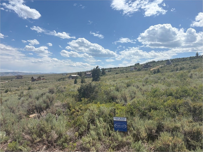 Excellent 1.68 ac building lot in upper Sweetwater Sub. Great - photo 4