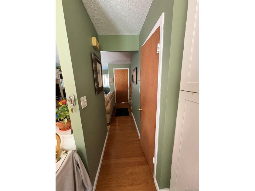 This stunning single-family home is in mint condition!!! Truly - photo 29