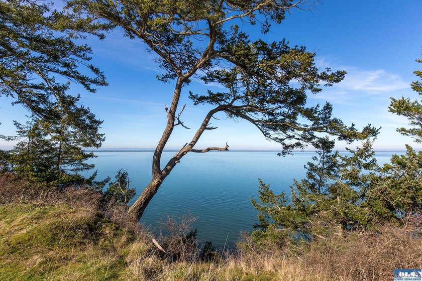 This is your opportunity to own the last available lot on scenic - photo 9