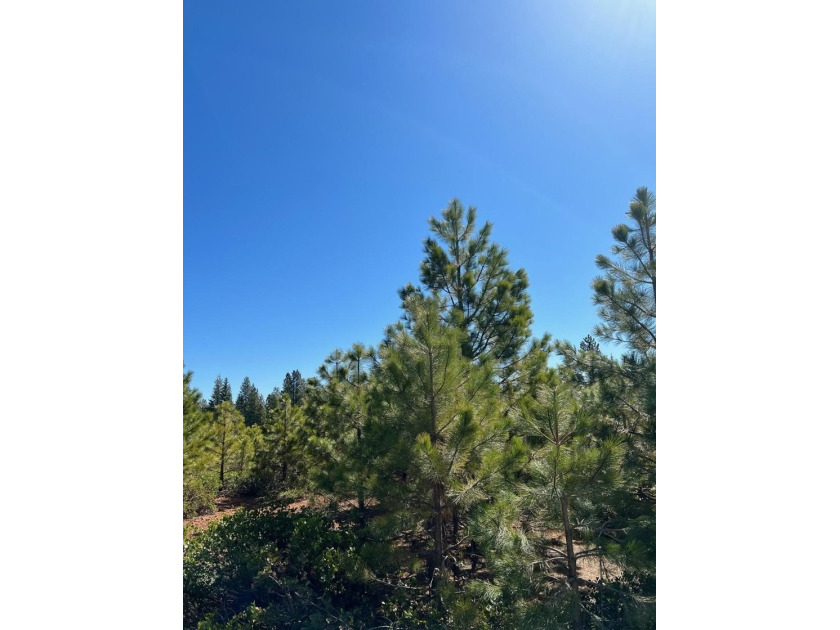 Great price for this nearly level property. Views of Dyer - photo 4
