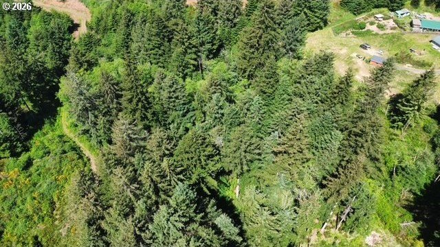 This beautiful 4.18-acre parcel boasts level to gently rolling - photo 6