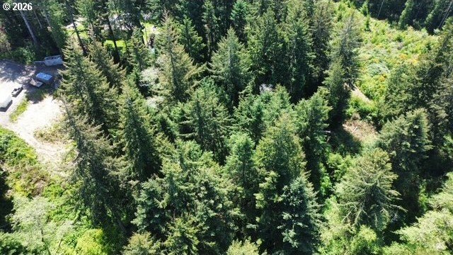 This beautiful 4.18-acre parcel boasts level to gently rolling - photo 7