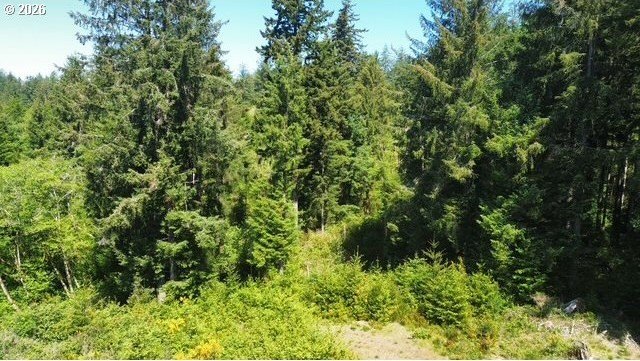 This beautiful 4.18-acre parcel boasts level to gently rolling - photo 10