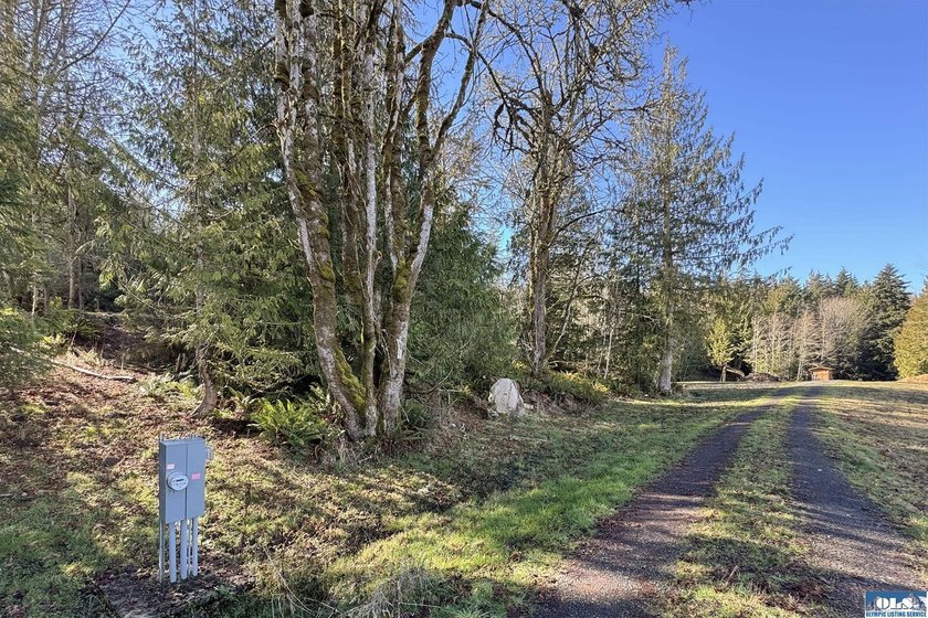 An exceptional 5-acre parcel defined by scenic beauty and - photo 3