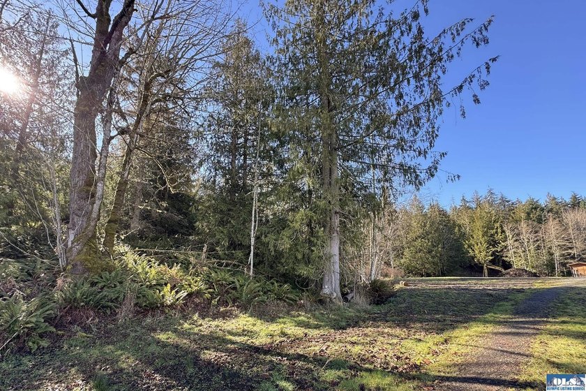 An exceptional 5-acre parcel defined by scenic beauty and - photo 5